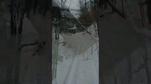 Самарская Лука 2020. Первый снег.