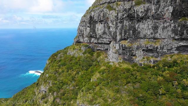Australia + Tropical House - 4K Scenic Film With EDM Music смотреть онлайн