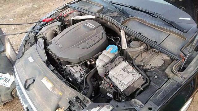 38893844 VES 100 11 смотреть онлайн