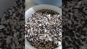 Зерновая смесь, корм (основной рацион) для канареек