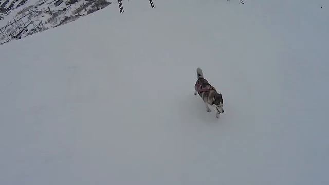 Кировск 2015 смотреть онлайн