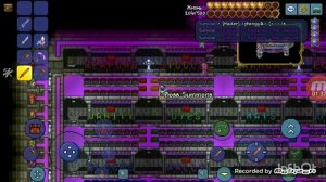 Как зайти на сервер со всеми вещами в Террарии