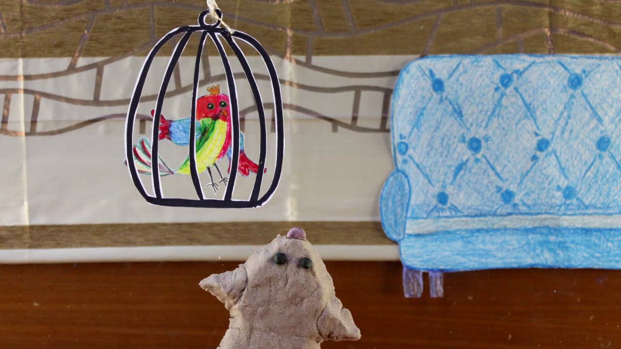 Кот-недосып