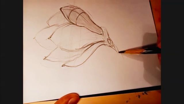 Построение ? цветов. Магнолия #Живопись #Акварель #Урок смотреть онлайн