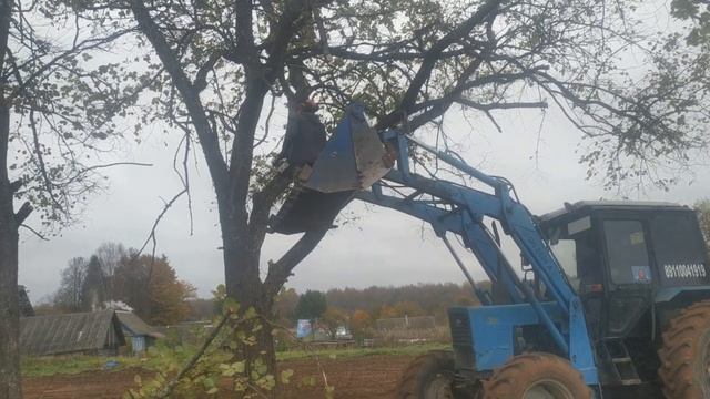 Проверяем наш новый измельчитель в деле.А так же честный отзыв на измельчитель щ450 (термит)