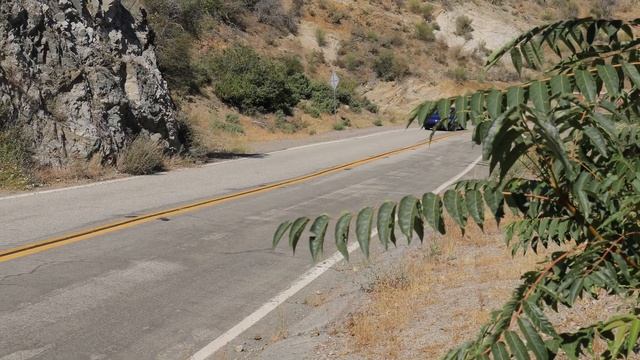 2022 Volkswagen Golf R Test Drive Video Review смотреть онлайн