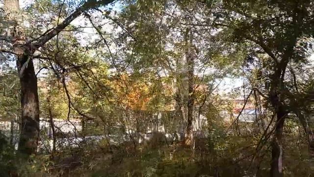 Тайны базы КАФ. 4.10.2021. Окрестности ''Дарданеллы'' Хабаровск. смотреть онлайн