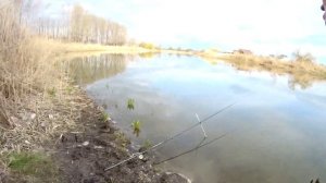 Весенний карась на Кубани,  на что ловить в апреле