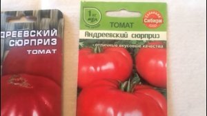 Один из лучших сортов томата - Андреевский сюрприз.. Почему он популярен среди огородников??