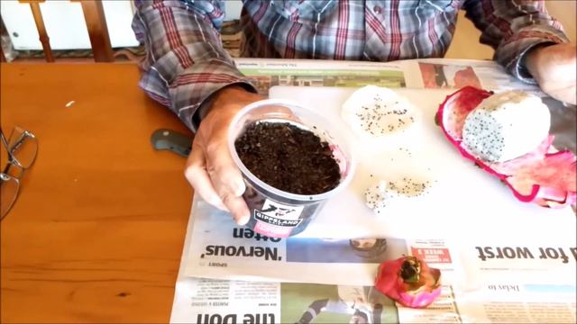 How to grow Pitaya Dragon Fruit from seed смотреть онлайн
