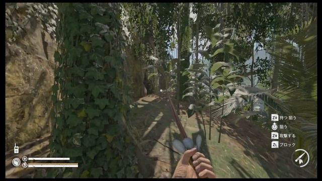 Switch 【GREEN HELL】 グリーンヘル実況＃16 オープンワールドサバイバルゲームで生存をかけてジャングルの奥地を攻略していく！ смотреть онлайн