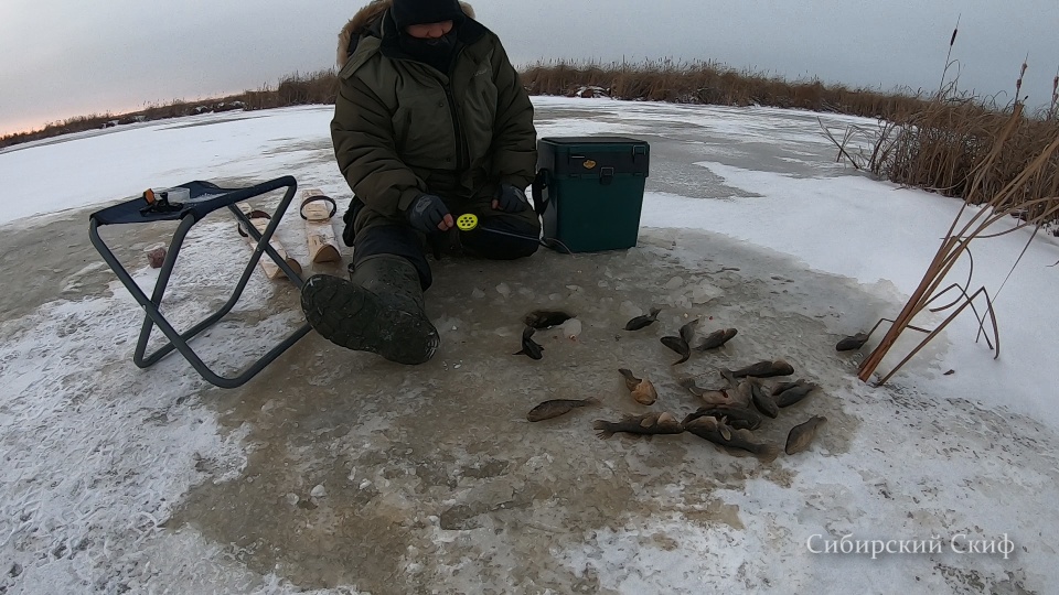 Ловля ротана по перволёдью Первая поклевка сезон рыбалки открыт смотреть онлайн