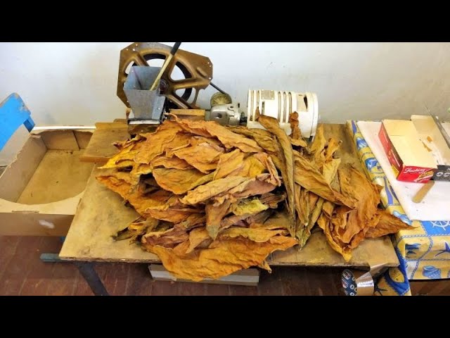 Табаководство_ Ответы на вопросы зрителей и подписчиков моего канала. смотреть онлайн