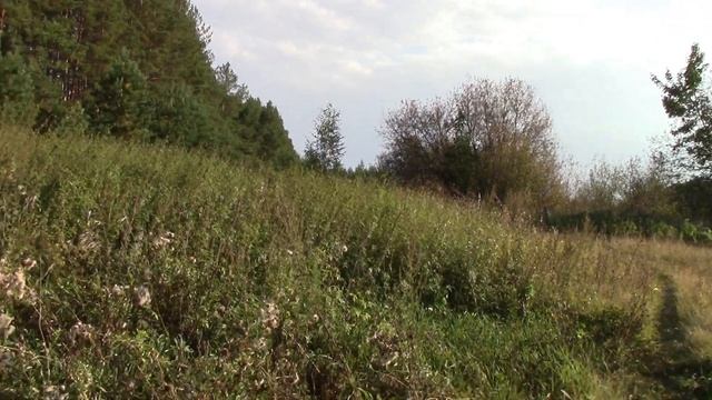 Металлокоп в бывшей деревни жесть! смотреть онлайн