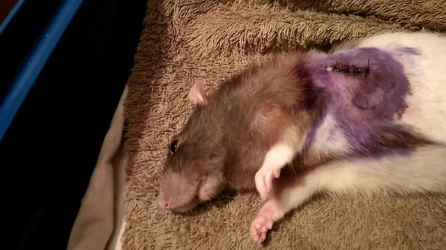 Значит дружба