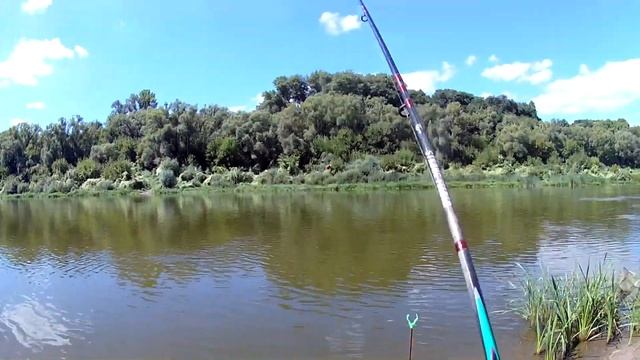 Рыбалка на дону ловля на фидер. смотреть онлайн