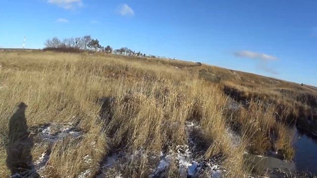 Селезеня 8-ой,зайчик,куропатки. Закрытие охоты по перу.Осень 2020. смотреть онлайн