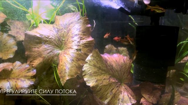 Сборка, установка и аксессуары для TURBO FILTER 1500 смотреть онлайн
