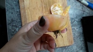 Томат Крем - Брюле