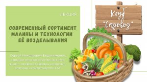 Лекция «Современный сортимент малины и технологии её возделывания»