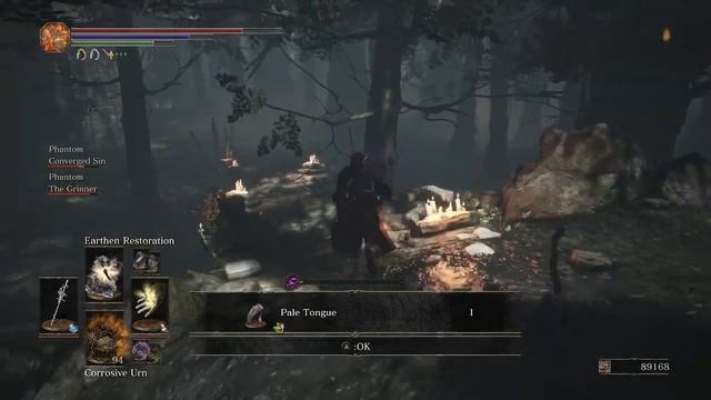 Dark Souls 3 The Convergence Mod CoOp Part 39