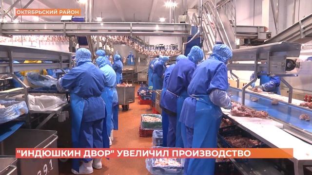 Компания "Индюшкин двор" в Октябрьском районе увеличила производство мяса индейки на 21% смотреть онлайн