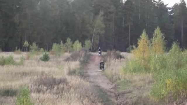 гонки с братом 3 смотреть онлайн