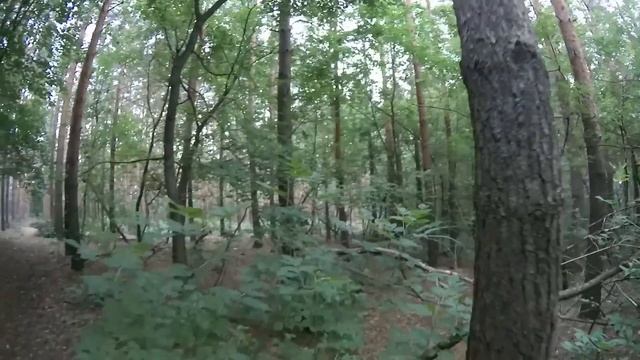 Пример Видео самодельного стабилизатора для SJCAM смотреть онлайн