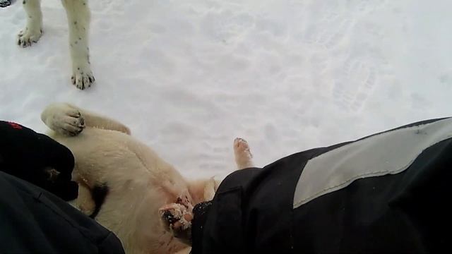 #Зимняя рыбалка C #экшн камерой X-TRY Xtc504