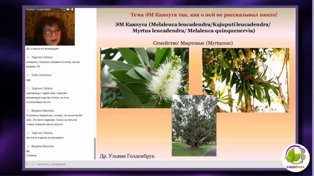 Как между строк услышать проблемы пациента. Рекомендации др.Ульвия Голденбрук #ароматерапия смотреть онлайн