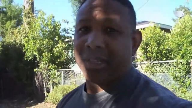 Thoughts to Ponder 8: Mother's Day and Leaves in Springtime смотреть онлайн