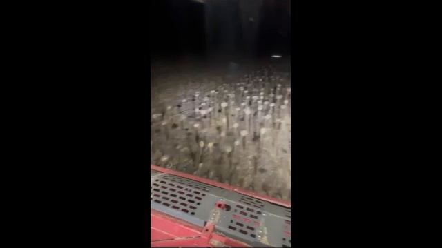 Топчиенко Дарья («Мой папа - Заслуженный фермер России») смотреть онлайн