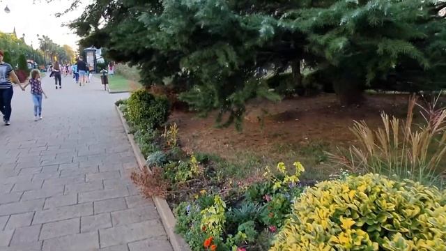 На Ласточке из Дагомыса в Сочи и обратно. смотреть онлайн