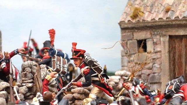 Napoleonic Battle Diorama