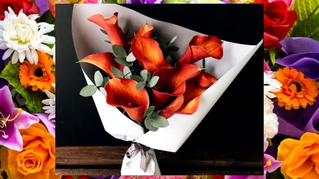 Котлыйбыз смотреть онлайн