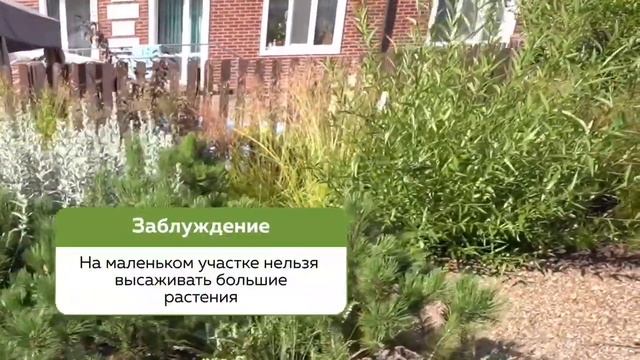 Проектирование сада на маленьком участке смотреть онлайн