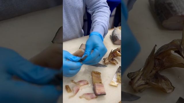 Пелядь Якутская - я честно обалдел от вкуса, шикарная??? #азбукасевера #пелядь смотреть онлайн