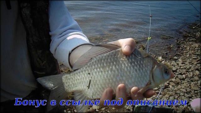 активатор клева для карпа смотреть онлайн