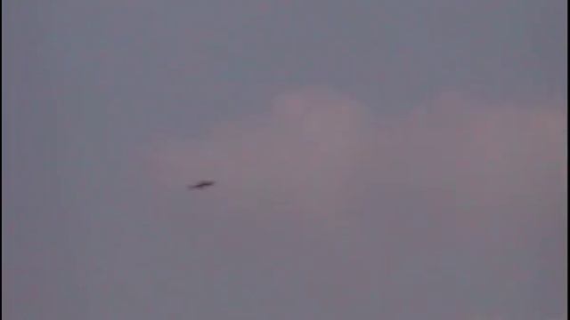 24,04, Сокол кобчик смотреть онлайн