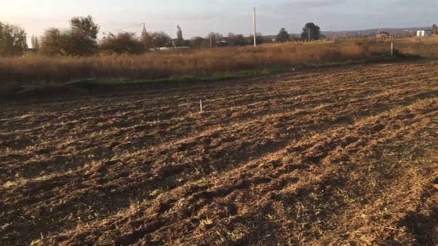 БИЗНЕС В СЕЛЕ С НУЛЯ || бизнес в селе с нуля с небольшими вложениями смотреть онлайн