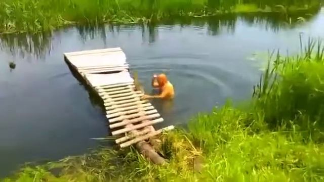 Отдых в деревне Медвядка Гродненской области и купание в реке Уша 16.06.2019 смотреть онлайн
