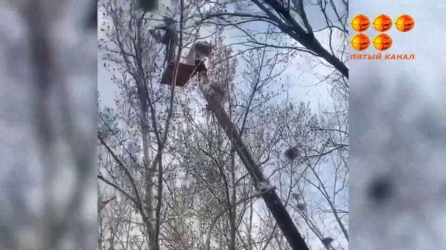 Увлеклись субботником. смотреть онлайн