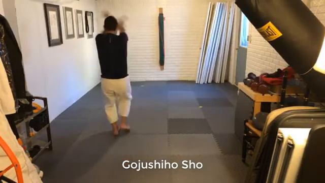 All 26 Shotokan Katas - performed slowly - in 30 minutes | #shotokan #karate #katachallenge смотреть онлайн