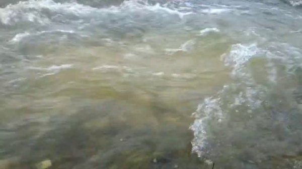 Река течёт очень красиво, расслабление, фон видео.The river flows very beautifully, relaxation.(1)