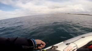 Как ЛОВИТЬ ЛУФАРЯ на ПИЛЬКЕРА В Чёрном море. В финале  БОНУС-ПЕЛАМИДА!!! СЕВАСТОПОЛЬ 03 11 2020г 1