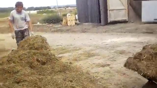 Как работают люди, место коней! смотреть онлайн