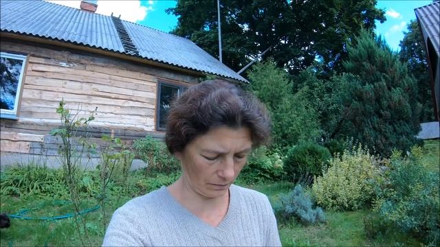 Доделала черновой потолок // Жизнь на хуторе смотреть онлайн