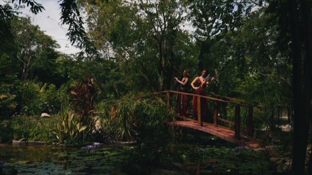 Song From A Secret Garden (Electric Violin And Harp Cover) - Musa