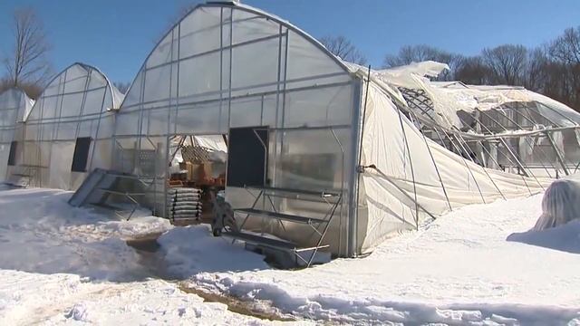 Виды теплиц/ Types of greenhouses смотреть онлайн