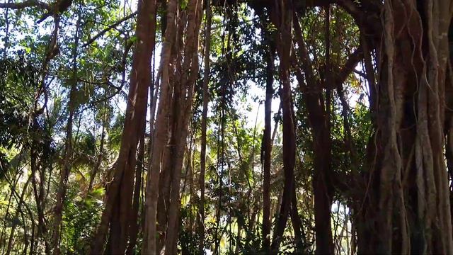 Баньян, Гоа 1 смотреть онлайн